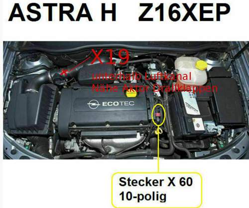Lage-x19