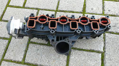 20201104_150556.jpg