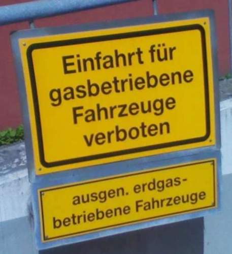 Schildgas