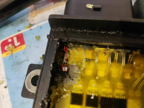 Img-20211225
