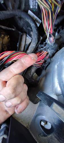 MStG +12v Anschteuerungsspannung