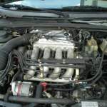 Cimg1555