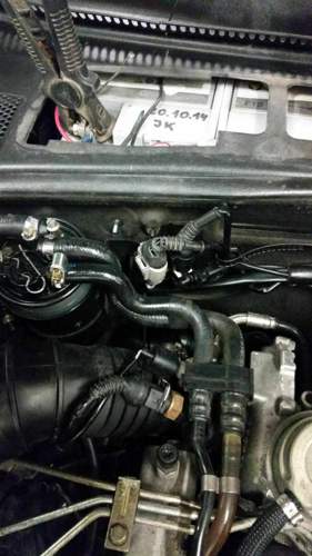 Angenagter Stecker