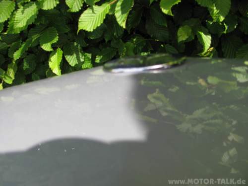 Img-1592