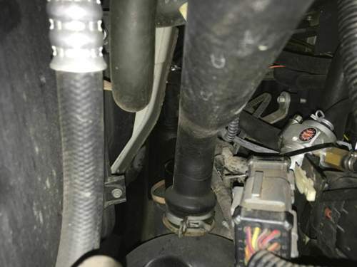 Img-4551