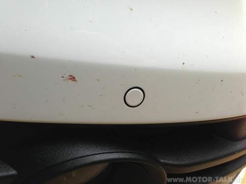 Img-0622