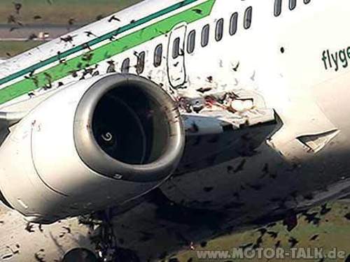 Vogelschlag-gefaehrdet-boeing-beim-start-in-duesseldorf-03-13538449-mbqf-1254140170-templateid-renderscaled-property-bild-height-349