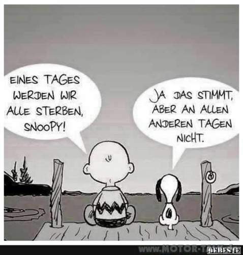 Snoopy-logik