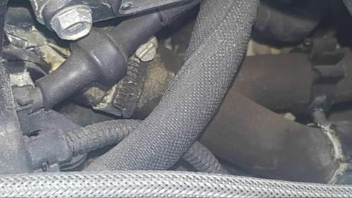20170524_165247.jpg