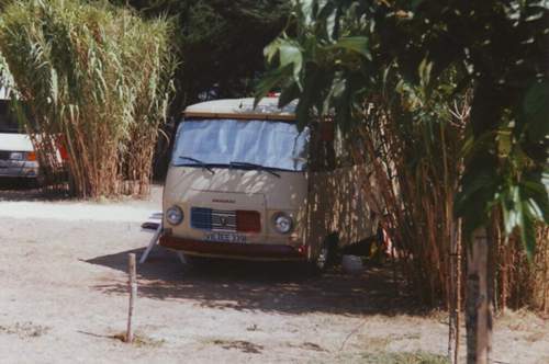 Auf-der-ile-de-re