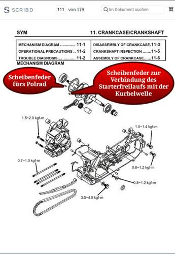Scheibenfedern
