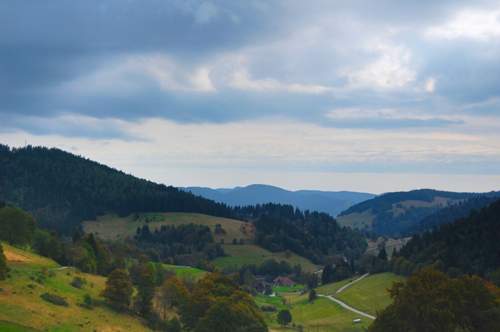 Bild #208603491