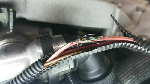 Kabel