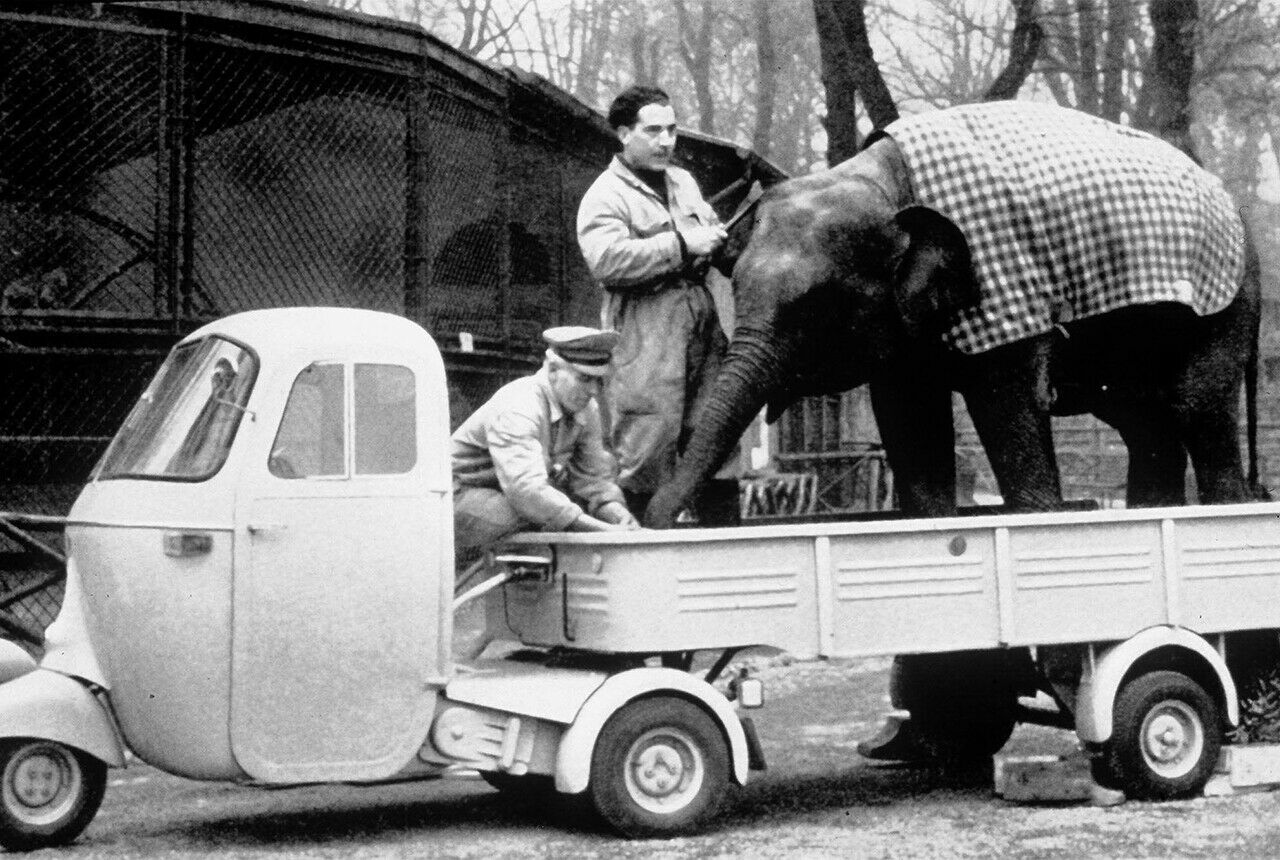 Wie viel ein junger Elefant wiegt? Wissen wir nicht. Fest steht aber: Häufig fuhren frühe Ape hoffnungslos überladen. Und kamen meist trotzdem ans Ziel