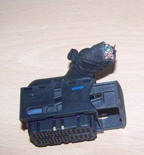 Stecker den ich meine