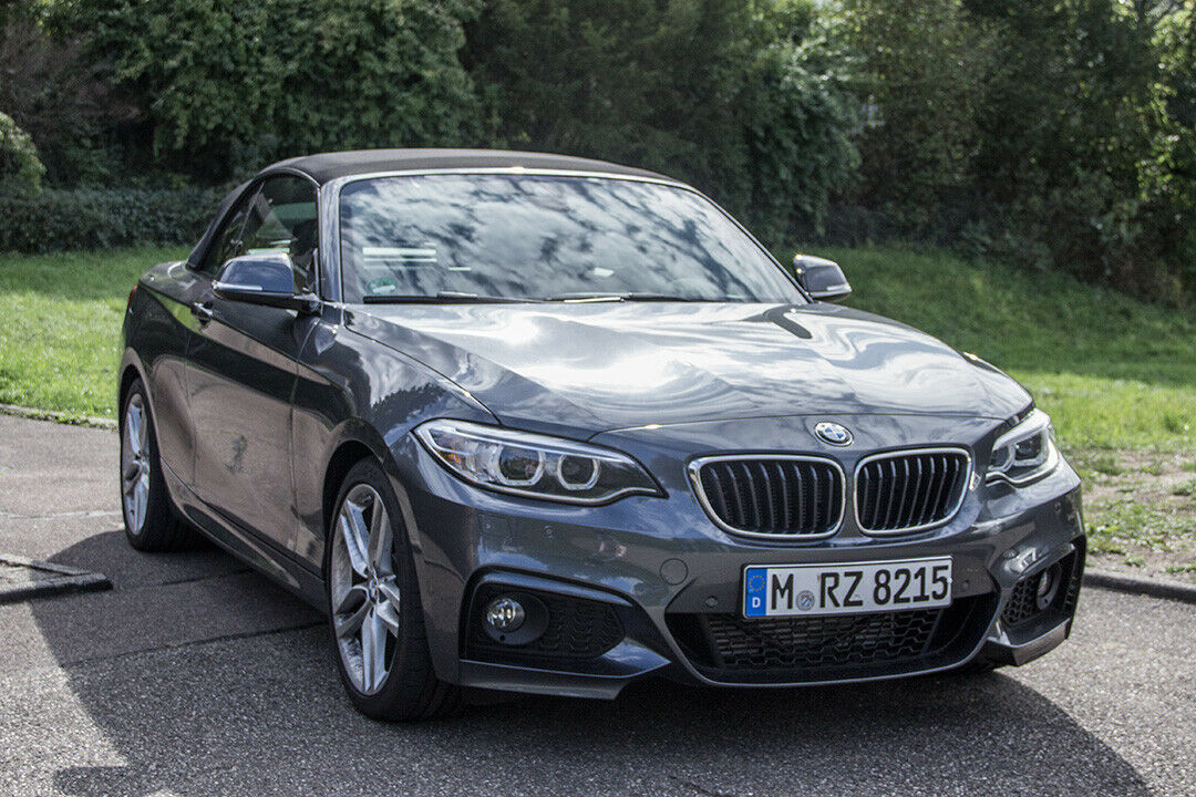 BMW 220d: Detail