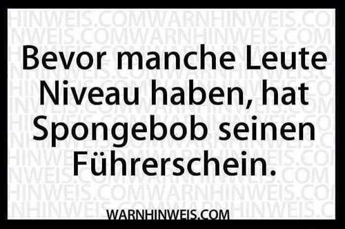 Bevor-manche-leute-niveau-haben-hat-spongebob-seinen-fuehrerschein