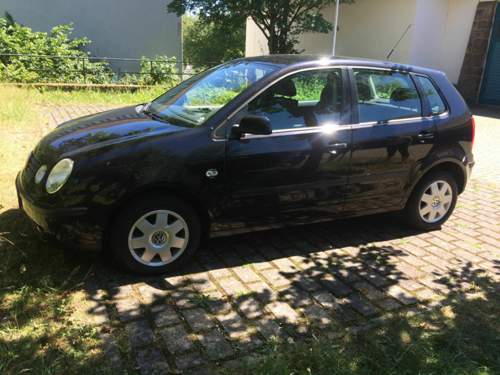 Polo 3