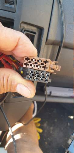 Stecker