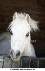 www.fotosearch.de