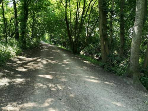 Img-20200617