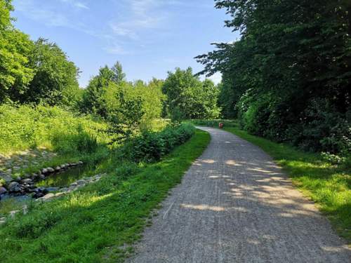 Img-20200617