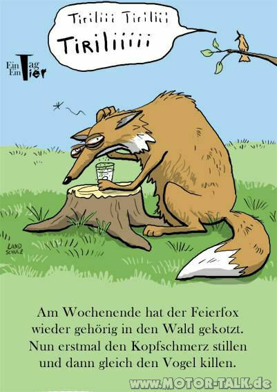 Porsche-Fahrer Witz