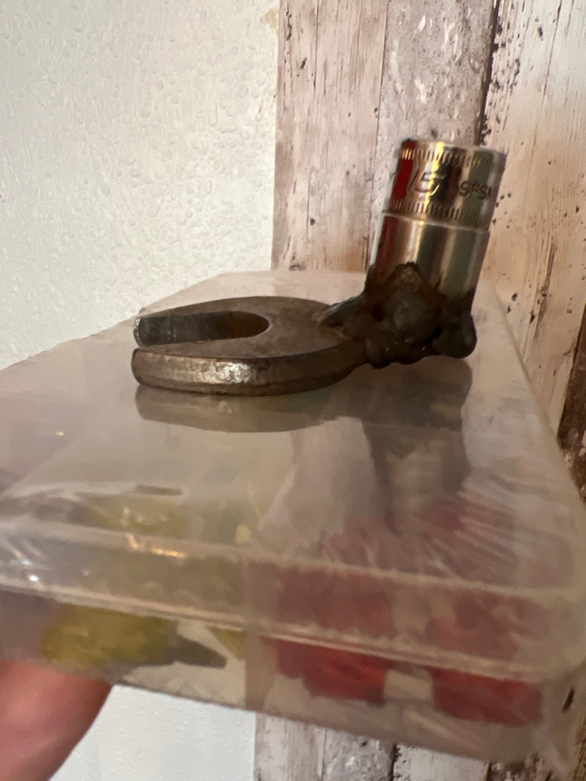 Poste deine Bilder des Tages (Bildersammlung)