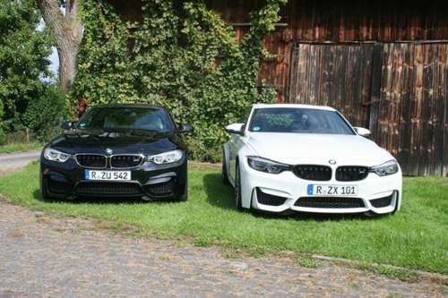 Img-6839