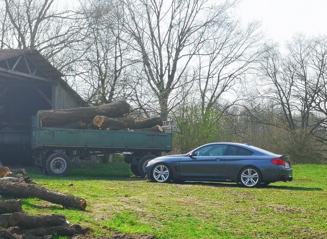 Postet Bilder von Eurem 4er