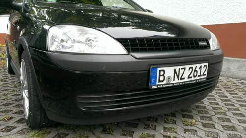 Schnauze
