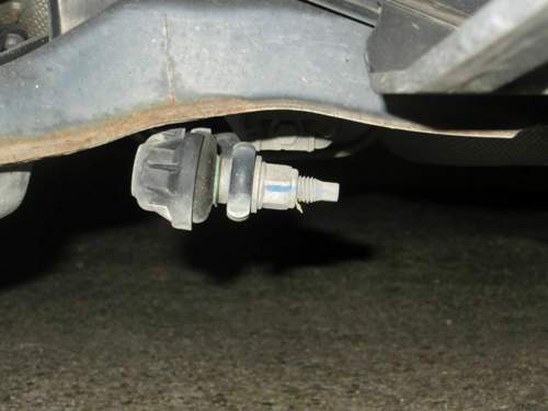 Img-1646