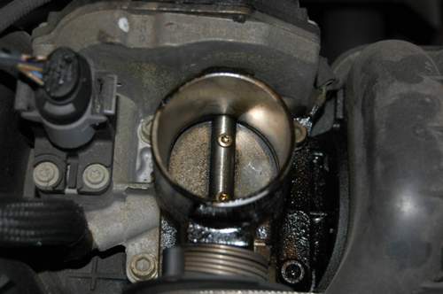 Dsc-2916