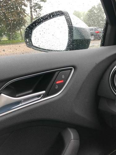 LED in der Fahrertuer.jpg