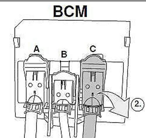 Bcm