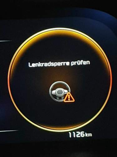 Fehlermeldung Sorento