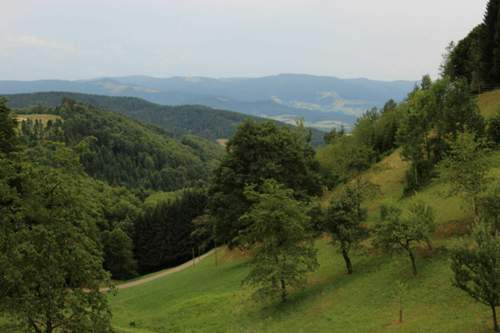 Img-8469