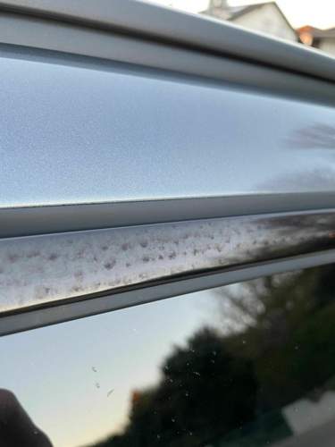 Bild #210306318