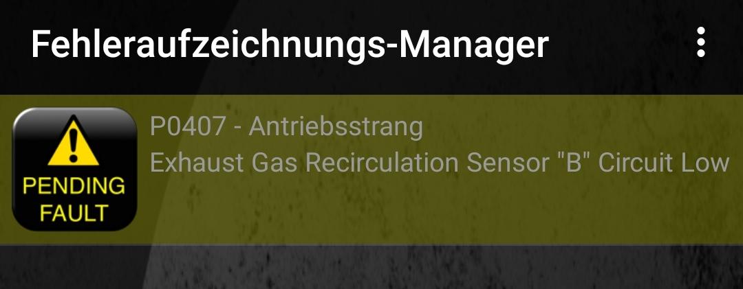 Probleme mit AGR und Luftdurchsatz