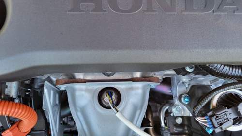 Motor