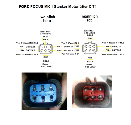Stecker C 74 ZETEC E