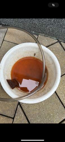 Braunes Wasser aus dem Kreislauf