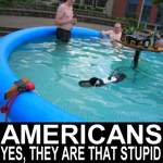 Stupid americans..?