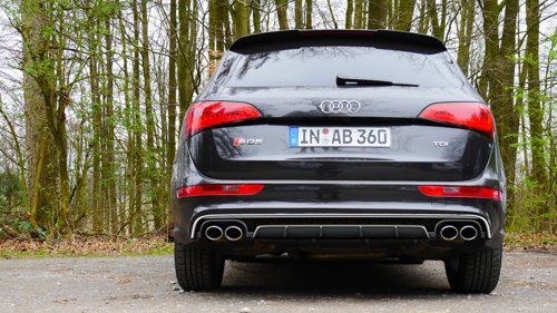 Sq5-wabendiff-s6