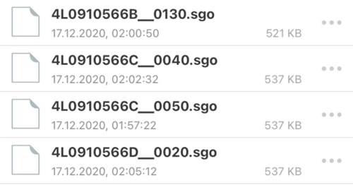 4L0 Software fuer STG 3C.jpg