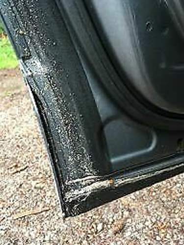 Img-2220