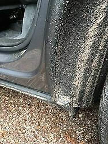 Img-2221