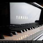 Yamaha-fluegel