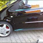 Raceglace 55