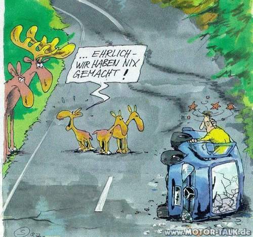 Elchtest